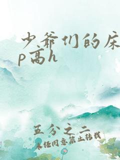 少爷们的床奴np高h