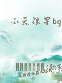 小天狼星bg
