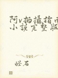 阿v拍摄指南说小说完整版
