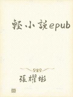 轻小说epub