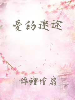 爱的迷途