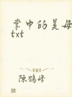 掌中的美母版主txt