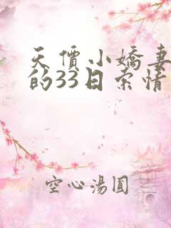 天价小娇妻总裁的33日索情