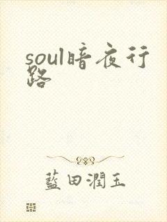 soul暗夜行路