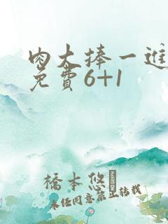 肉大捧一进一出免费6+1