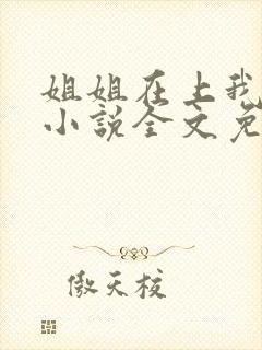 姐姐在上我在下小说全文免费阅读