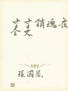 寸寸销魂夜春光全文