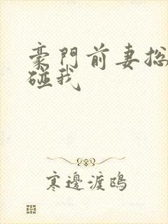 豪门前妻总裁别碰我