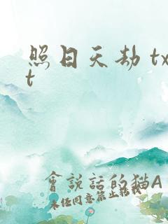 照日天劫 txt