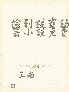 捡到校霸的遥控器小说免费阅读无弹窗