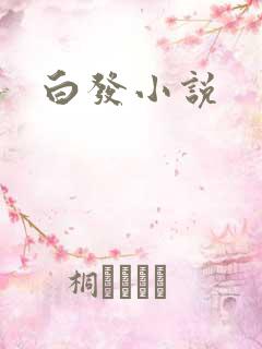 白发小说