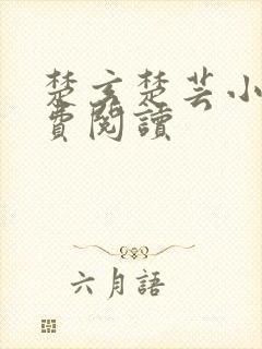 楚玄楚芸小说免费阅读