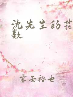 沈先生的花式调数