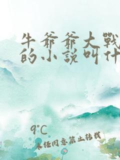 牛爷爷大战小丽的小说叫什么