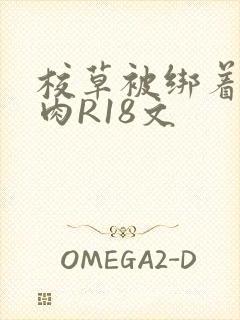 校草被绑着玩纯肉R18文