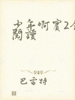 少年啊宾2全文阅读