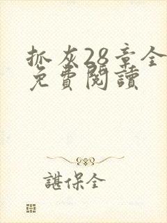 抓灰28章全部免费阅读