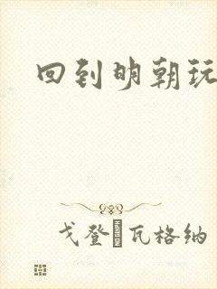 回到明朝玩网游