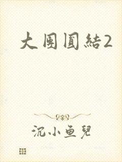 大团圆结2