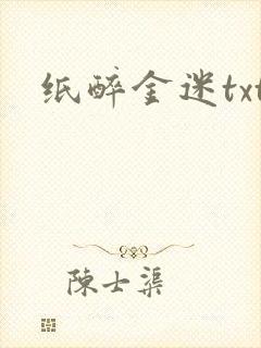 纸醉金迷txt