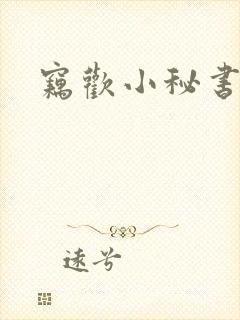 窃欢小秘书