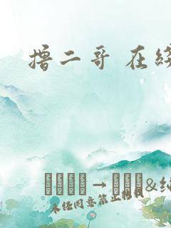 撸二哥 在线