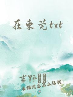 在东莞txt
