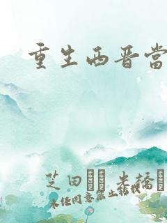 重生西晋当太子