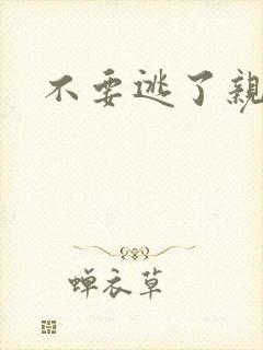 不要逃了亲爱的