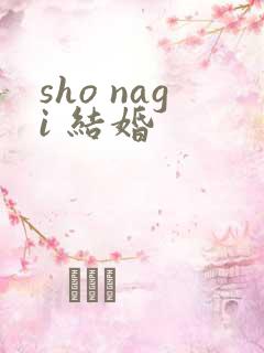 sho nagi 结婚