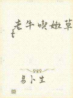老牛吃嫩草txt