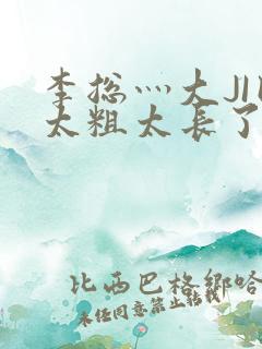 李总灬大JI巴太粗太长了