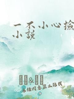 一不小心捡到爱小说