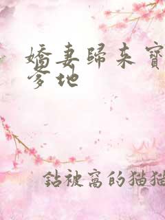 娇妻归来宝贝叫爹地