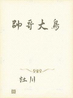 帅哥大鸟