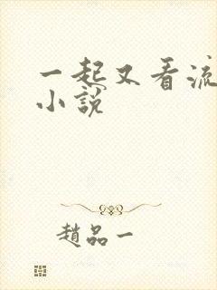 一起又看流星雨小说