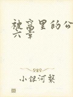 被窝里的公息第六章