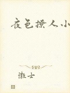 夜色撩人小说