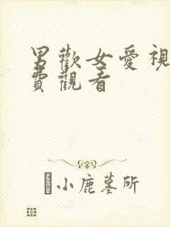 男欢女爱视频免费观看