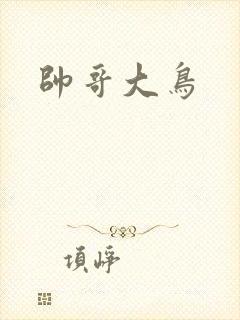 帅哥大鸟
