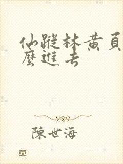 仙踪林黄页网怎么进去