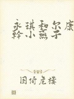 永琪和尔康一起干小燕子