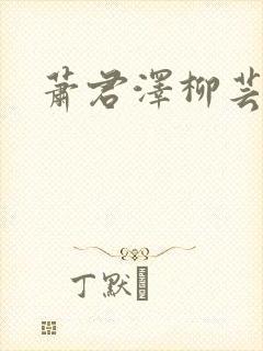 萧君泽柳芸小说