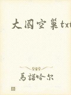 大国空巢txt