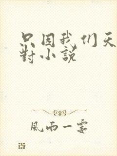 只因我们天生一对小说