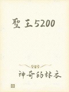 圣王5200