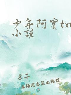 少年阿宾txt小说