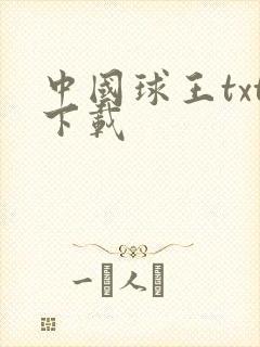 中国球王txt下载