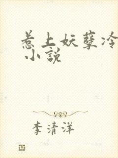 惹上妖孽冷殿下 小说