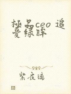 极品ceo 追爱绿眸